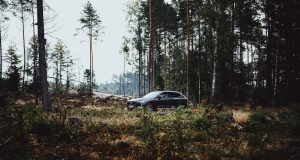 Volvo Car Poland - wypożyczalnia choinek