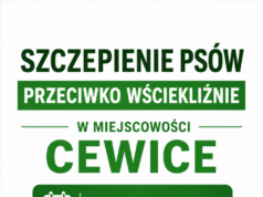 Obowiązkowe szczepienie psów przeciwko wściekliźnie w gminie Cewice HARMONOGRAM SZCZEPIENIA PSÓW PRZECIWKO WŚCIEKLIŹNIE W MIEJSCOWOŚCI CEWICE – 16 MAJA 2026 R.