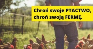 Zalecenia dla hodowców drobiu w powiecie lęborskim w związku z zagrożeniem ptasią grypą Zalecenia dla hodowców drobiu w powiecie lęborskim w związku z zagrożeniem ptasią grypą
