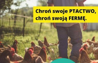 Zalecenia dla hodowców drobiu w powiecie lęborskim w związku z zagrożeniem ptasią grypą