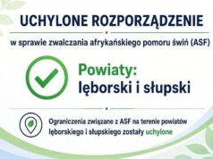 Zniesiono rygorystyczne przepisy ASF w powiatach lęborskim i słupskim