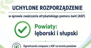 Zniesiono rygorystyczne przepisy ASF w powiatach lęborskim i słupskim Zniesiono rygorystyczne przepisy ASF w powiatach lęborskim i słupskim