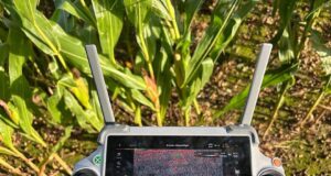 Starostwo Powiatowe w Lęborku używa dronów do walki z ASF